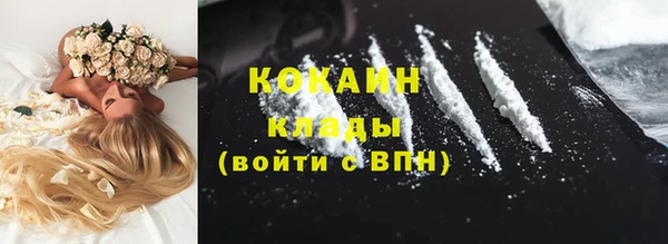 сатива Богородицк