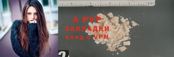 амф Богданович