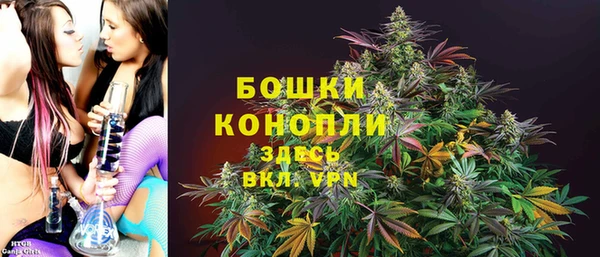 сатива Богородицк