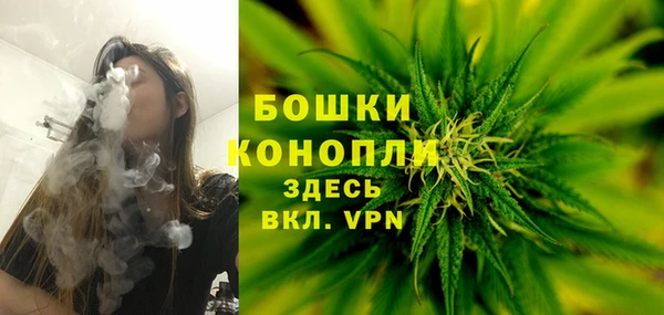 амф Богданович