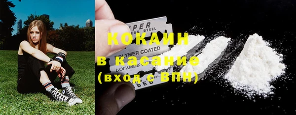 молекула духа Богородск