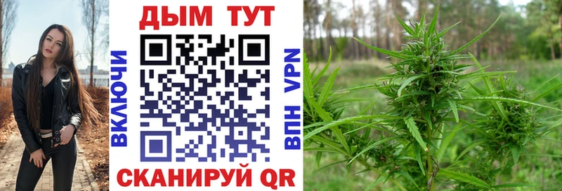 Купить Горнозаводск Конопля SATIVA & INDICA